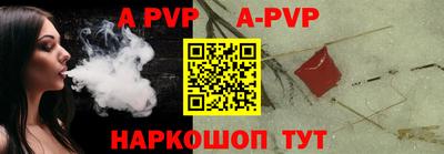 крисы Кингисепп