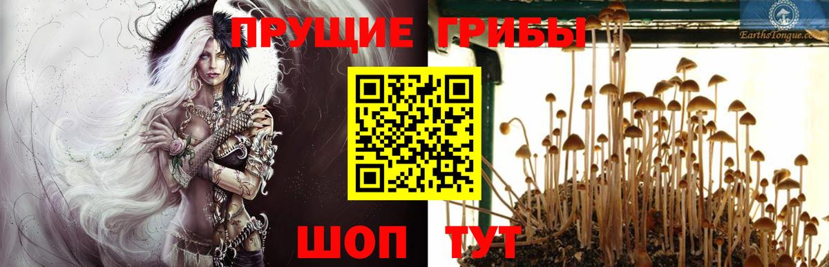 Галлюциногенные грибы GOLDEN TEACHER Кингисепп