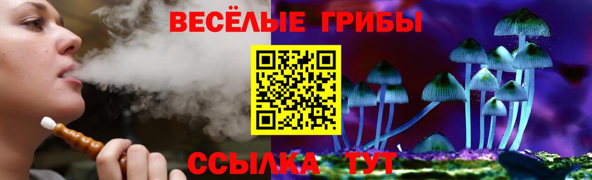 Галлюциногенные грибы Cubensis  Галлюциногенные грибы Psilocybine cubensis  купить наркоту  Вход с VPN  Кингисепп 